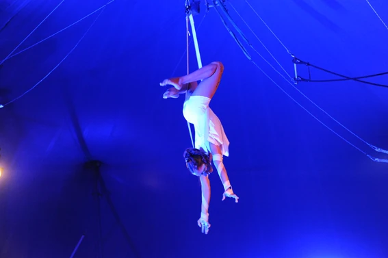 Artiste aérien en performance au Cirque de Bordeaux