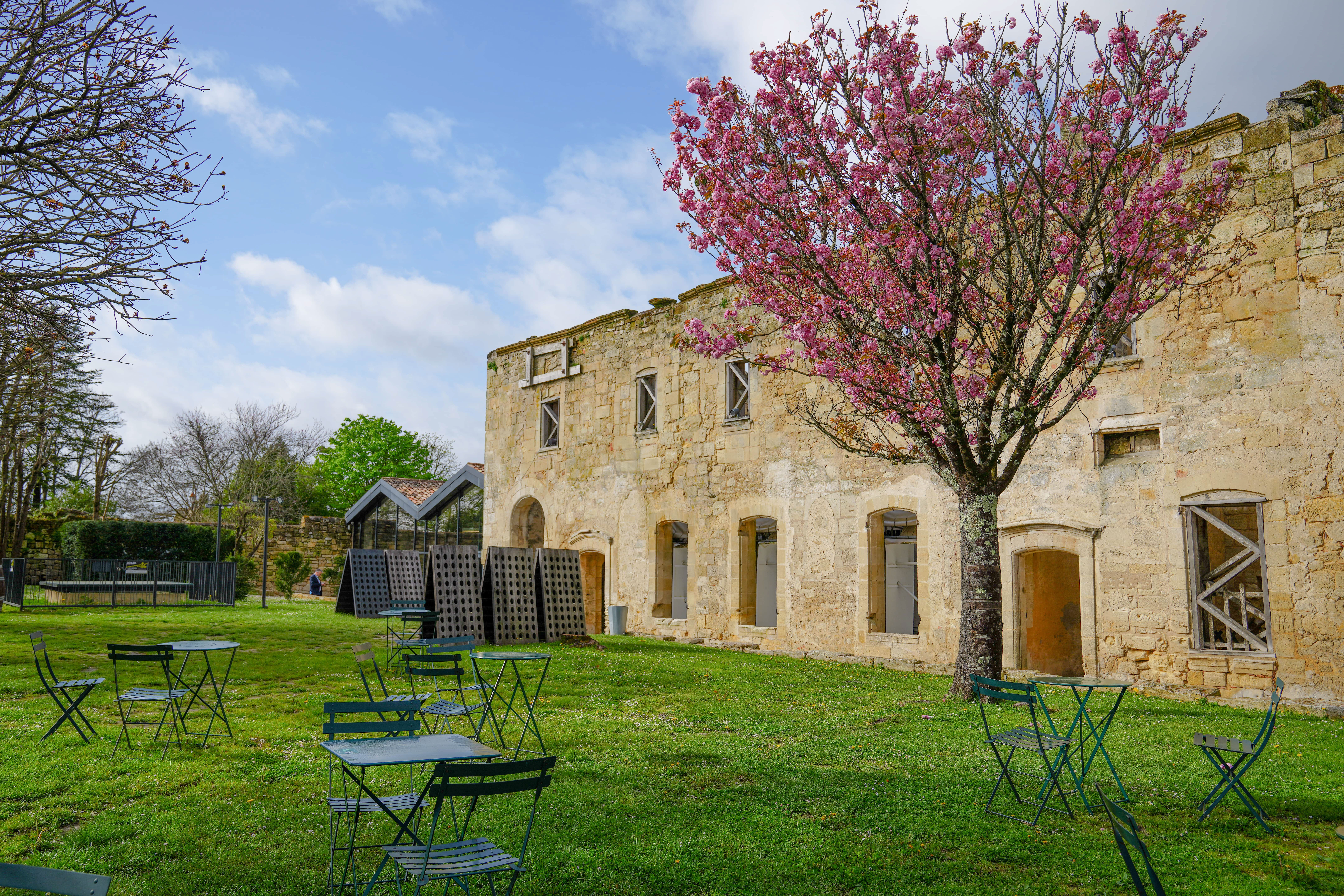 Cloître des Cordeliers — jardin avec cerisier en fleurs