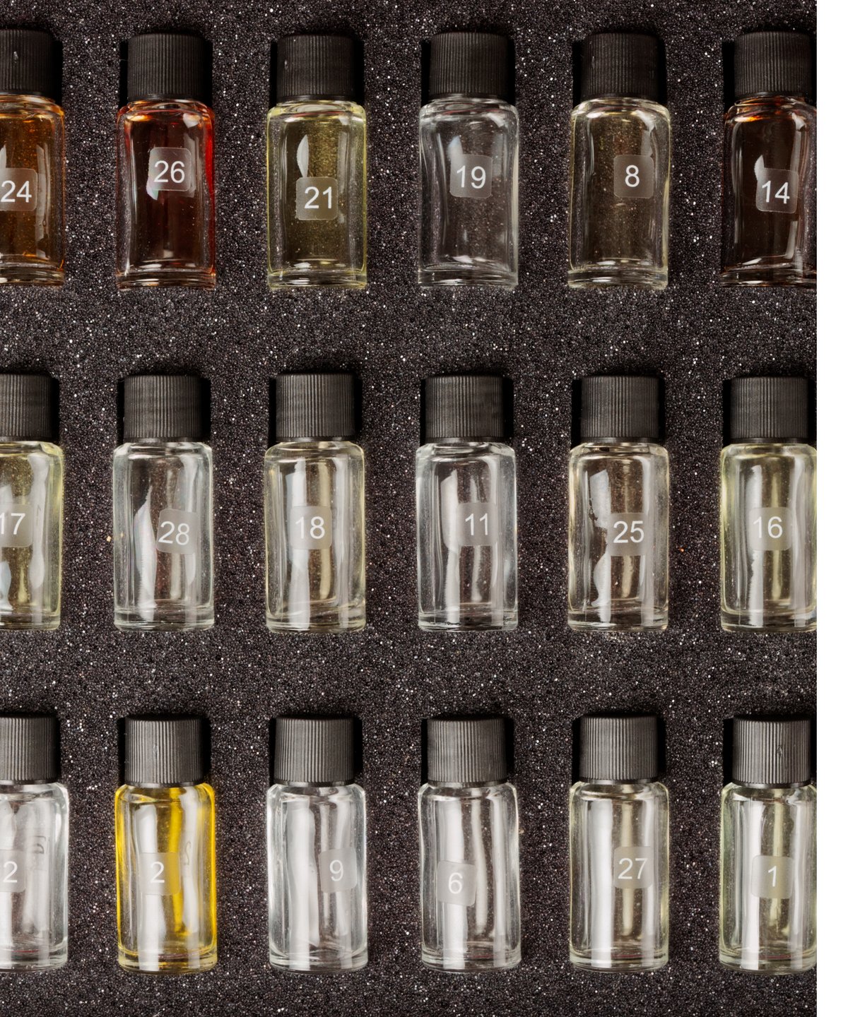 Atelier sensoriel — flacons numérotés