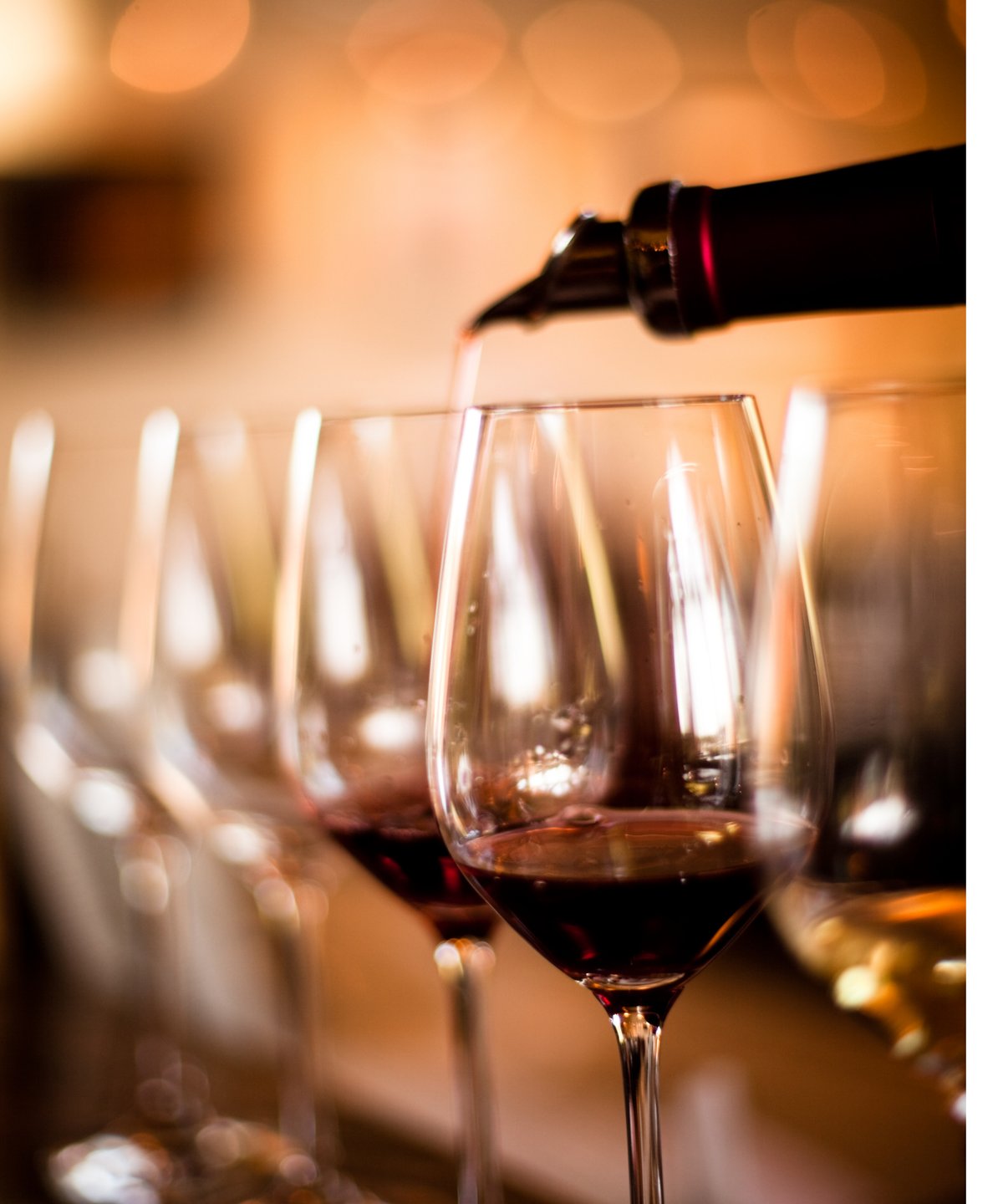 Ambiance dégustation — L'Œnologue Disparu